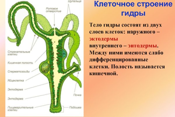 Kraken market зеркала