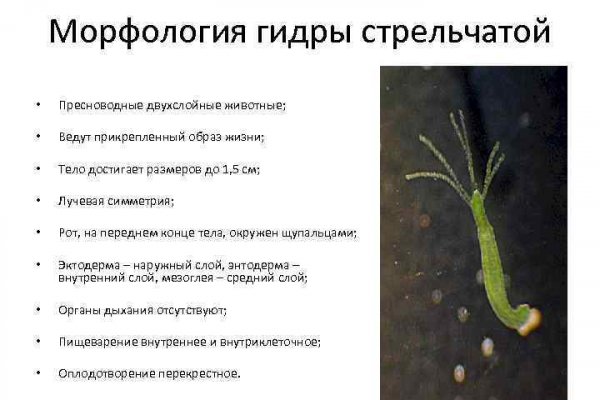 Вместо гидры